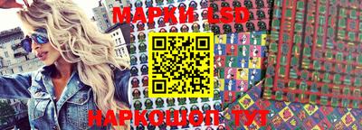 шишки Новозыбков