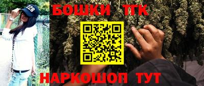 шишки Новозыбков