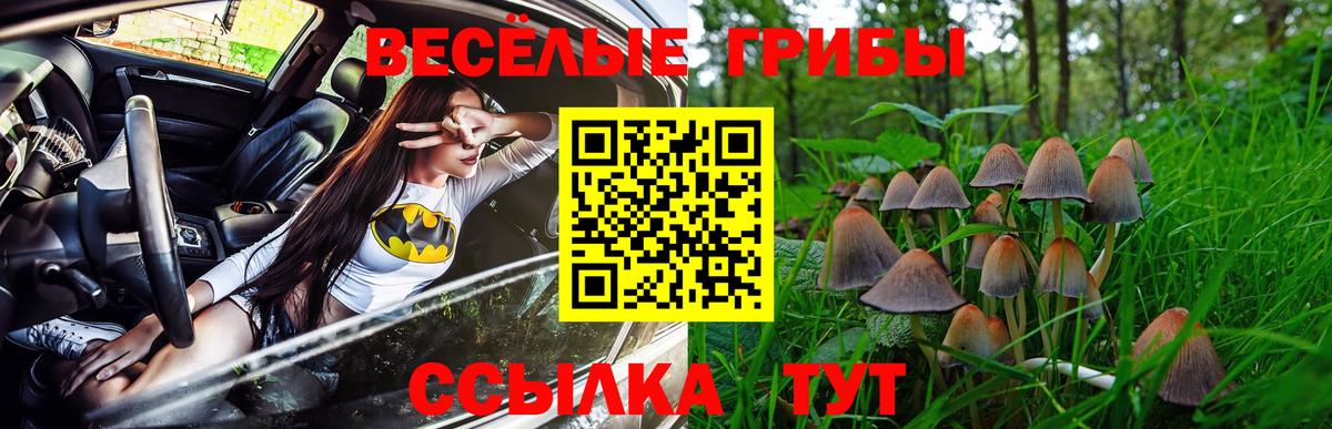 Галлюциногенные грибы Cubensis  Вход с VPN  Находка 